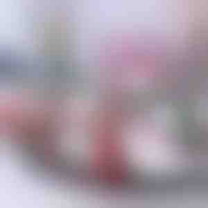 Świąteczny Pociąg | TRAINMAS